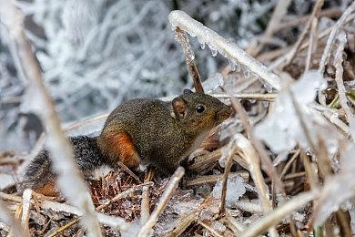 CDPR举办《巫师3》截图大赛：“来自巫师大陆的明信片”